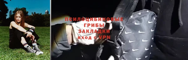 a pvp Богданович