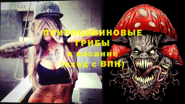 ГАЛЛЮЦИНОГЕННЫЕ ГРИБЫ Богородицк