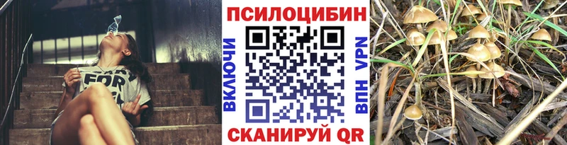 ссылка на мегу   Пестово  Псилоцибиновые грибы Cubensis 